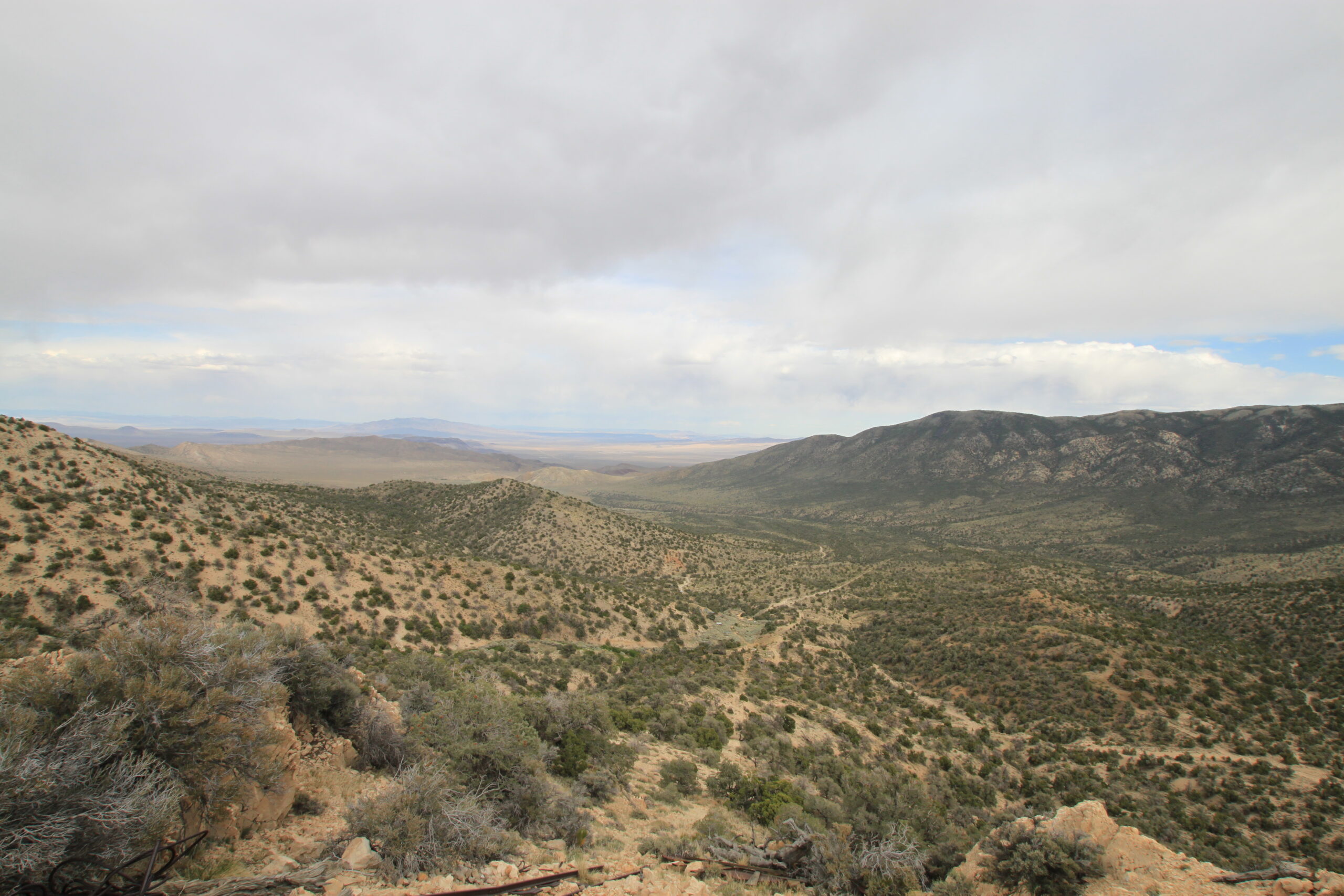 Mammoth Minerals extends gold footprint at Excelsior with broad gold strikes