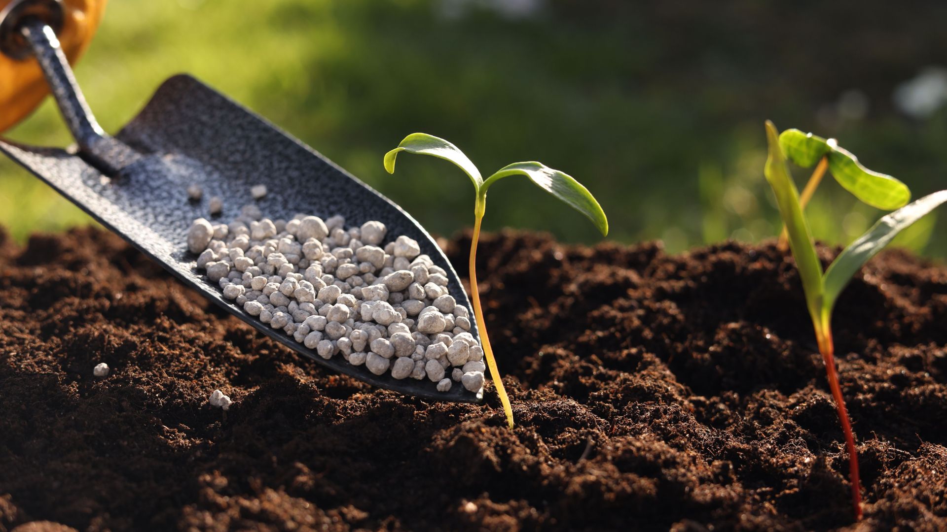 fertiliser