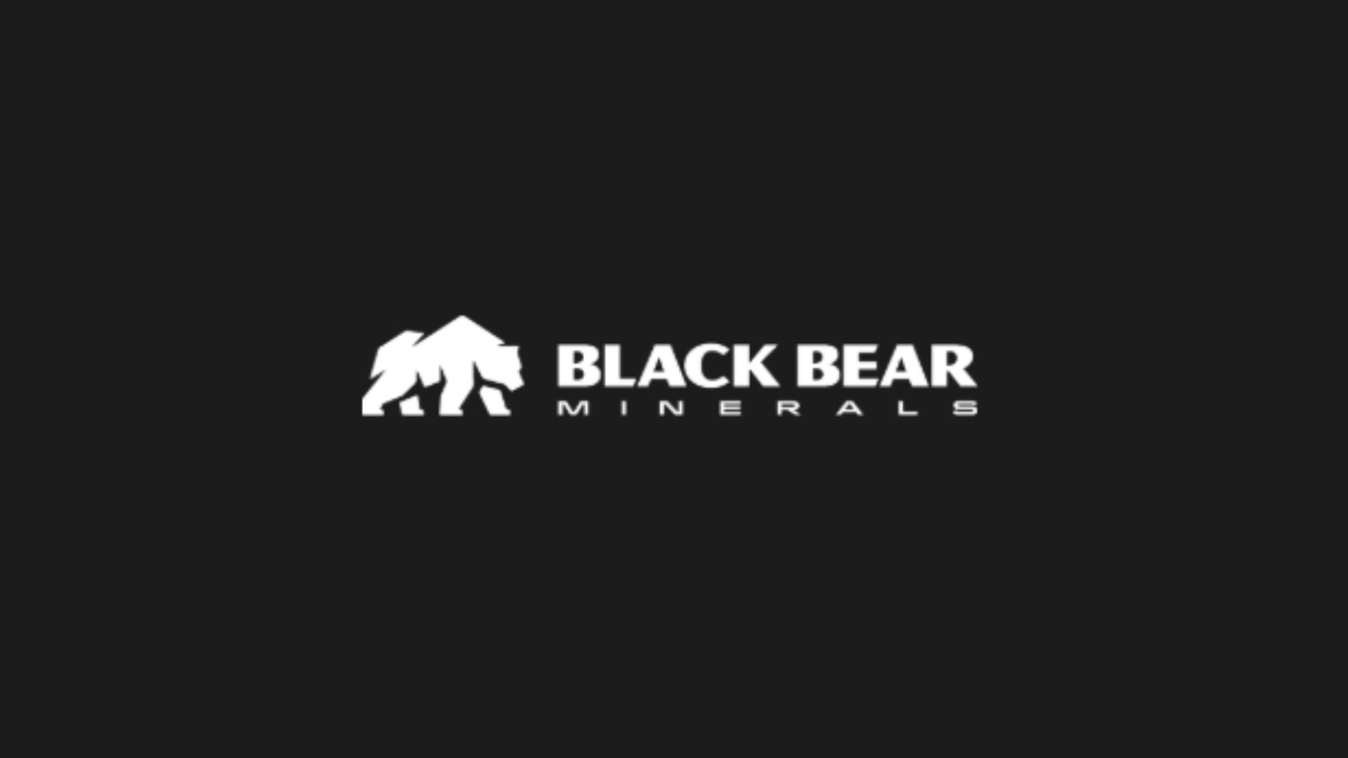 black bear
